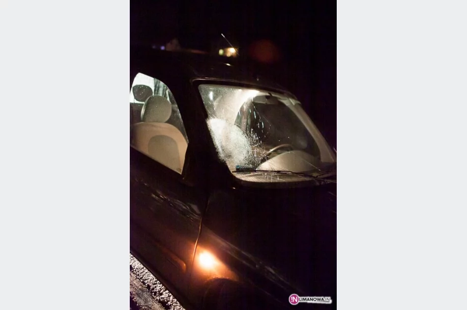 Szukali potrąconego mężczyzny - zdjęcie 2