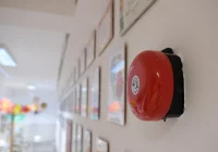 91% przeciw? Opozycja publikuje nieoficjalne wyniki konsultacji - zdjęcie główne