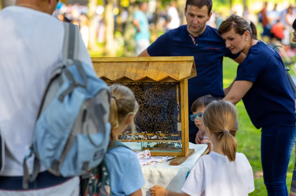 Finał X Festiwalu Kultury Beskidu Wyspowego Beskidzkie Rytmy i Smaki - zdjęcie 5