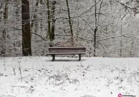 GOPS apeluje o wrażliwość - zdjęcie główne