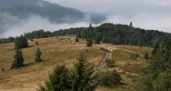 O samotnym wędrowaniu nie było mowy - tłumy turystów na Mogielicy - zdjęcie 2