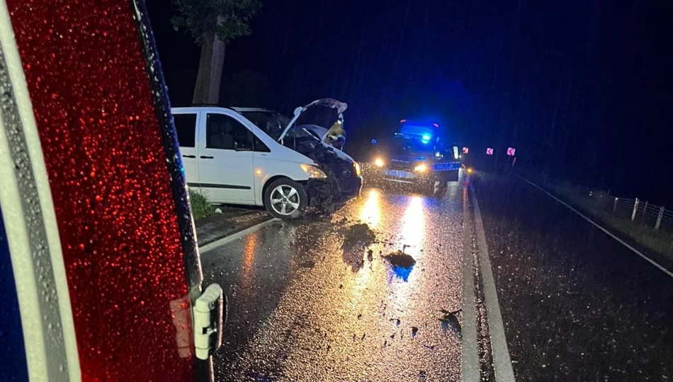 Mercedes w przydrożnym rowie - zdjęcie 1