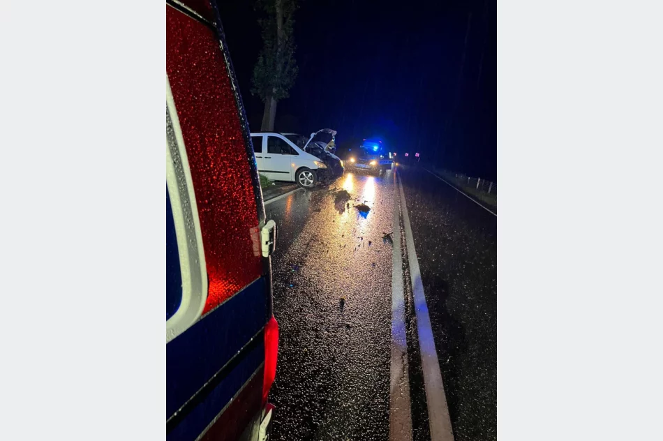 Mercedes w przydrożnym rowie - zdjęcie 2