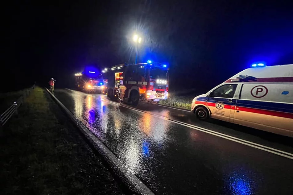 Mercedes w przydrożnym rowie - zdjęcie 3