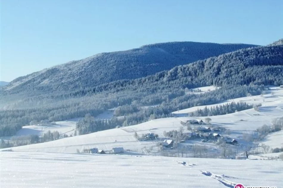 Sylwester na Lubogoszczy - zdjęcie 2