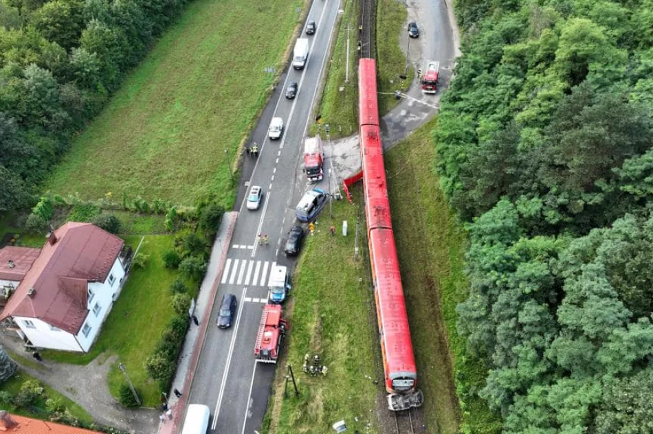 Kierowca aresztowany; był pijany i pod wpływem narkotyków - zdjęcie 6