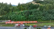 Kierowca aresztowany; był pijany i pod wpływem narkotyków - zdjęcie 3