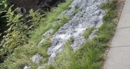 Beton z remontu chodnika wyrzucony... pod most - zdjęcie 4
