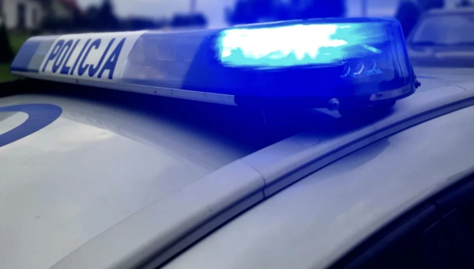 Pijana spowodowała kolizję, wiozła w aucie kilkuletnie dziecko - zdjęcie 1
