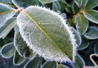 Będzie ślisko - pierwszy stopień ostrzeżenia - zdjęcie główne
