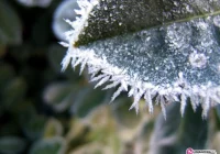 Uwaga na śliskie drogi i chodniki - zdjęcie główne
