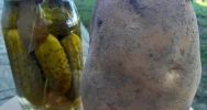 Znalazł ziemniaka-giganta! (ZDJĘCIA) - zdjęcie 3