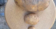 Znalazł ziemniaka-giganta! (ZDJĘCIA) - zdjęcie 5