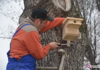 Rekompensata dla ptaków - zdjęcie główne