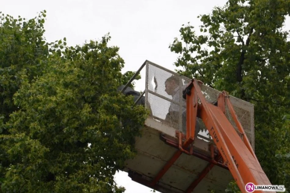 Rekompensata dla ptaków - zdjęcie 2