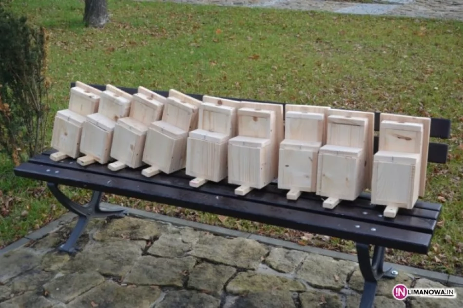 Rekompensata dla ptaków - zdjęcie 3