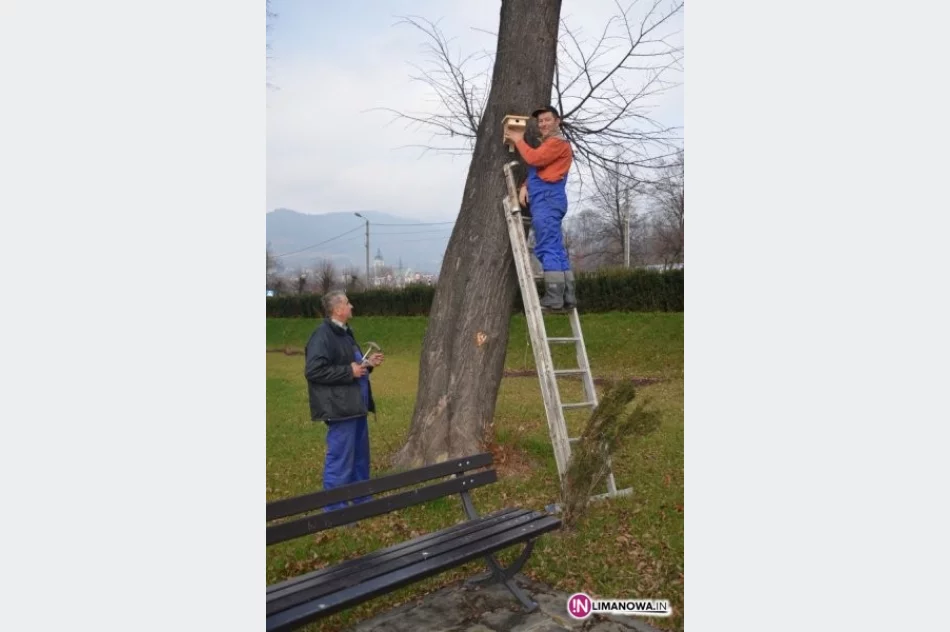 Rekompensata dla ptaków - zdjęcie 4