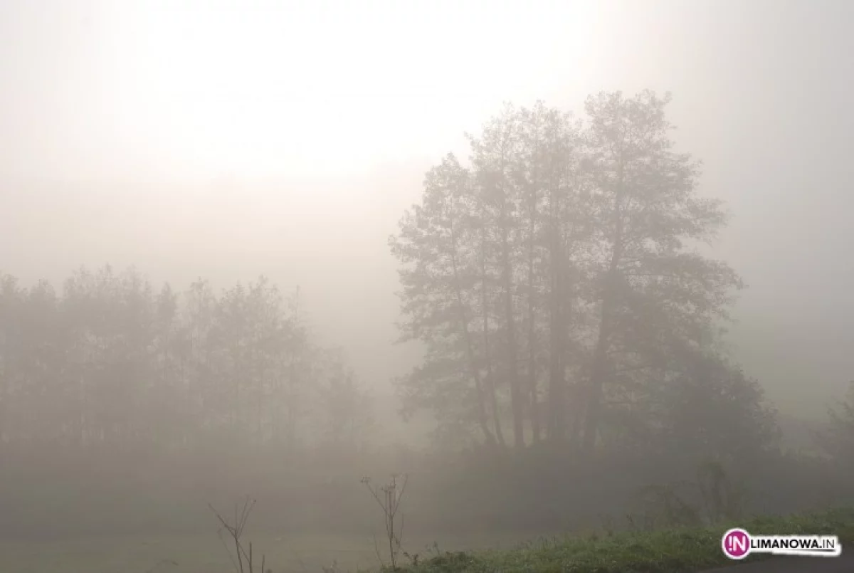 Silna mgła. Widzialność do 200 metrów