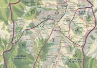 Słopnice podzielone - zdjęcie główne