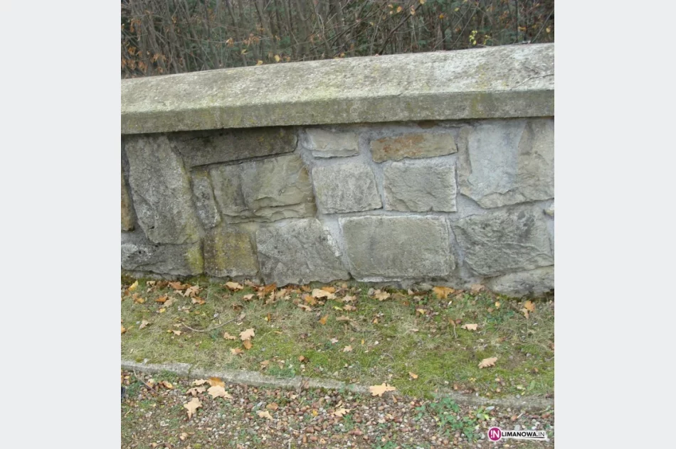 Ostatni lot Ła-5FN - mogiła 21-letniego lotnika zlokalizowana! - zdjęcie 3