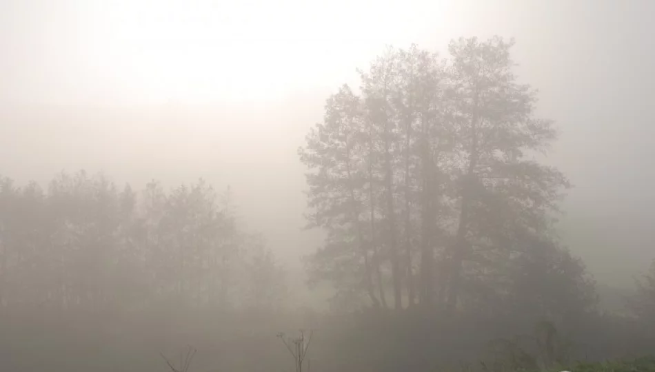 Uwaga na lokalnie marznącą mgłę - zdjęcie 1