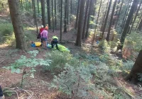 Paralotniarka zawisła na drzewie - akcja GOPR - zdjęcie główne