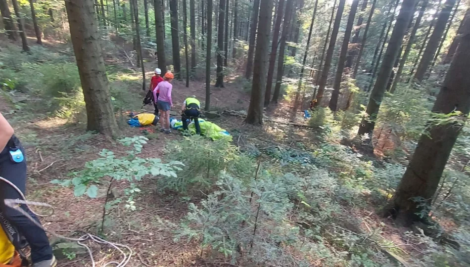 Paralotniarka zawisła na drzewie - akcja GOPR - zdjęcie 1