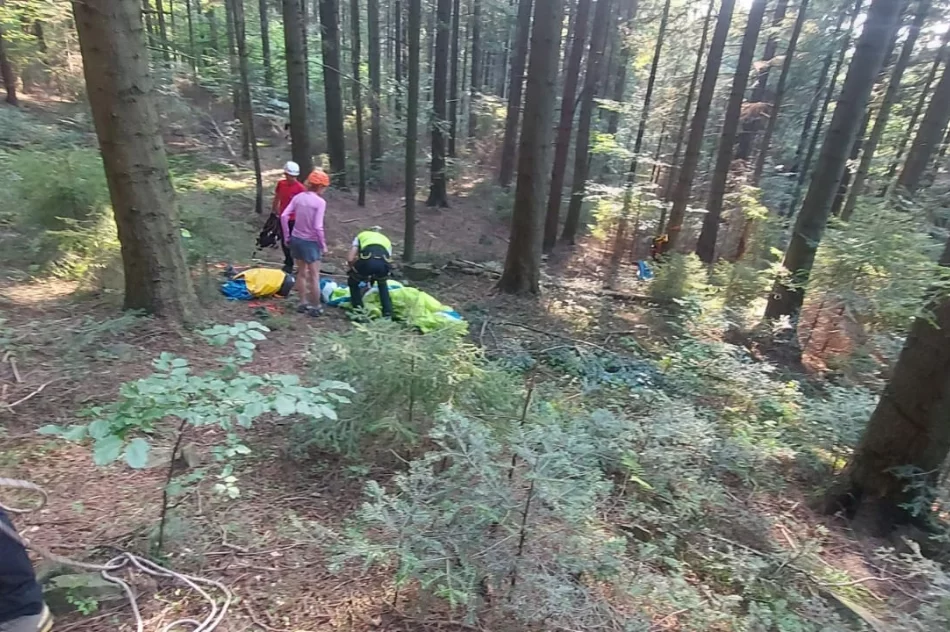 Paralotniarka zawisła na drzewie - akcja GOPR - zdjęcie 3