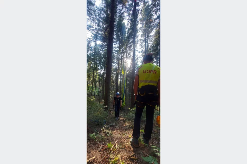 Paralotniarka zawisła na drzewie - akcja GOPR - zdjęcie 4