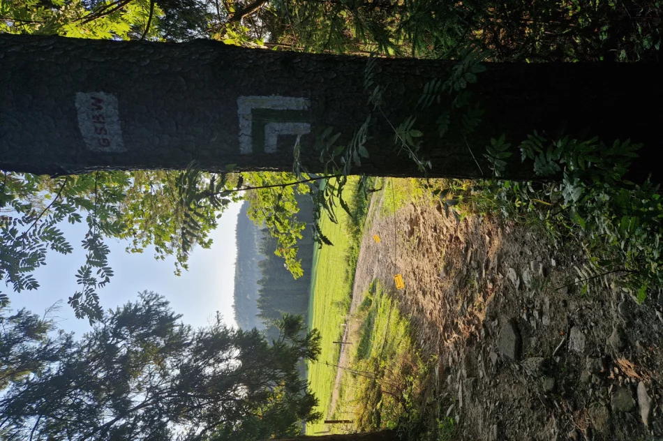 Elektryczny pastuch na szlaku - zdjęcie 2