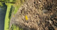 Elektryczny pastuch na szlaku - zdjęcie 4