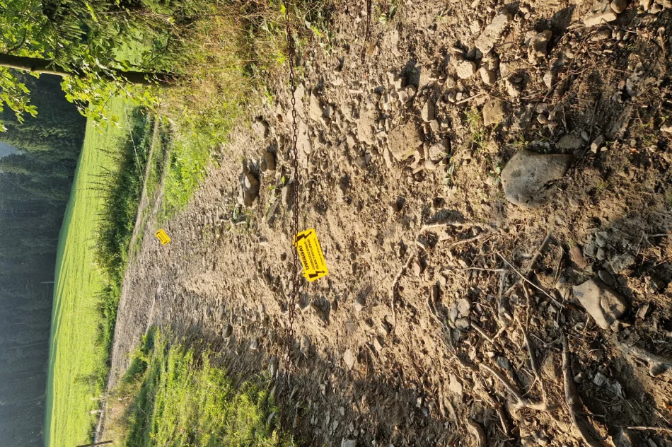 Elektryczny pastuch na szlaku - zdjęcie 4