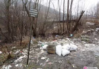 Zaczną płacić za śmieci. Stawka nawet 40 zł - zdjęcie główne