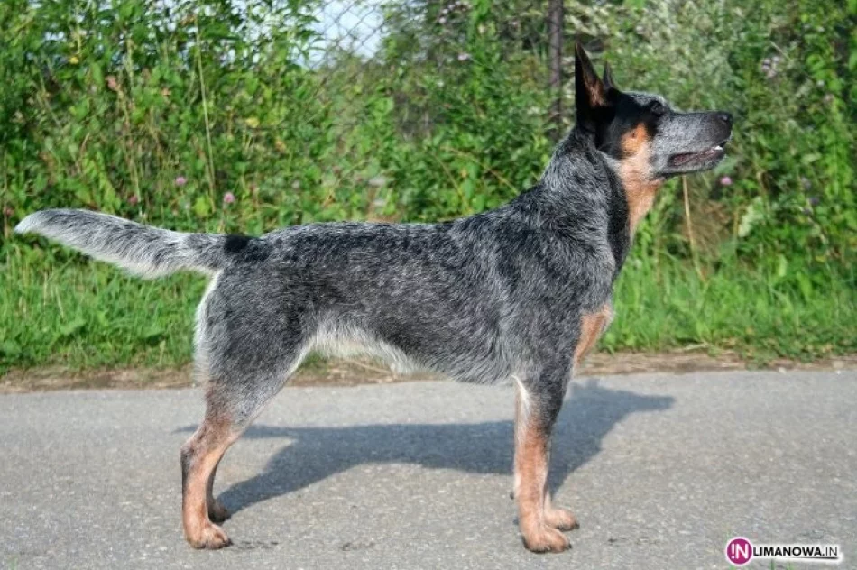 Poszukiwany, poszukiwana - zdjęcie 2