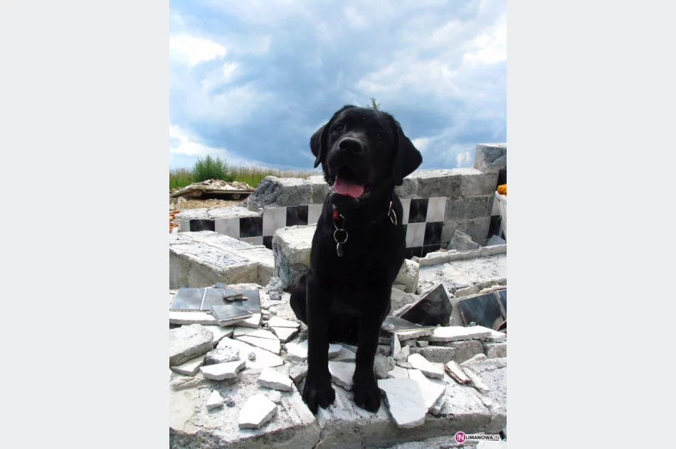 Poszukiwany, poszukiwana - zdjęcie 3