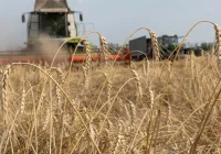 Od dziś nie można wwieźć niektórych produktów rolnych z Ukrainy, w tym zbóż - zdjęcie główne