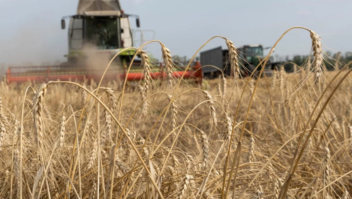 Od dziś nie można wwieźć niektórych produktów rolnych z Ukrainy, w tym zbóż