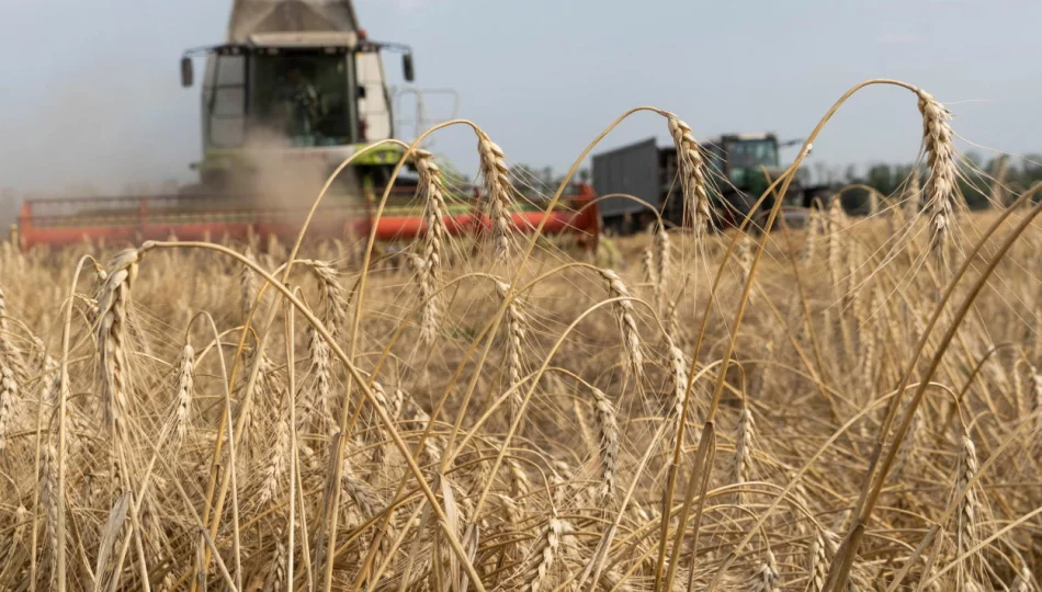 Od dziś nie można wwieźć niektórych produktów rolnych z Ukrainy, w tym zbóż - zdjęcie 1