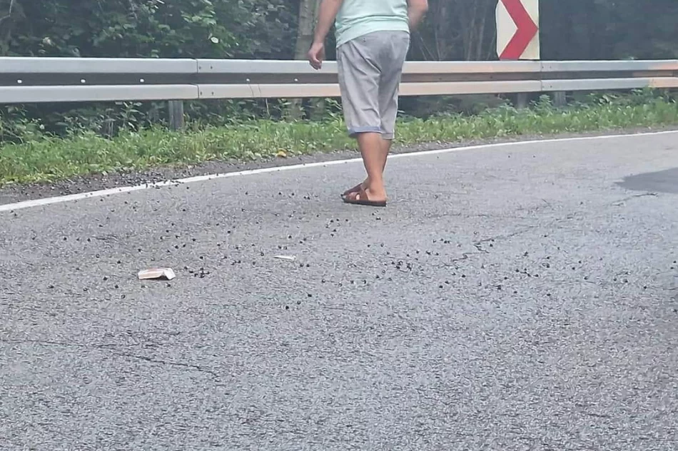 Wkręty na jezdni - kilkanaście aut przebiło opony - zdjęcie 2