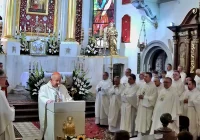 Kard. Dziwisz: papież wpisał się w dzieje kultu cudownej Piety Limanowskiej - zdjęcie główne