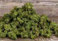 Medyczna marihuana a redukcja objawów depresji i lęku - zdjęcie główne