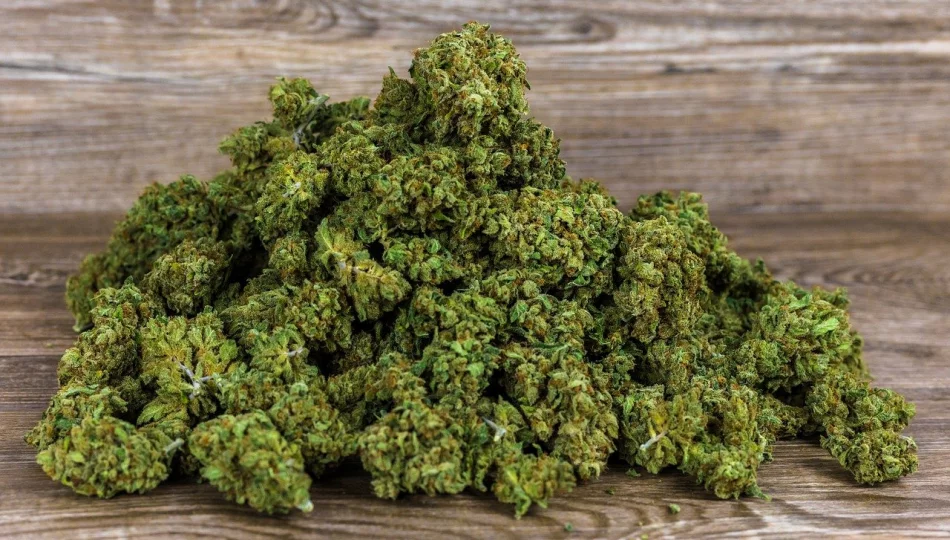 Medyczna marihuana a redukcja objawów depresji i lęku - zdjęcie 1