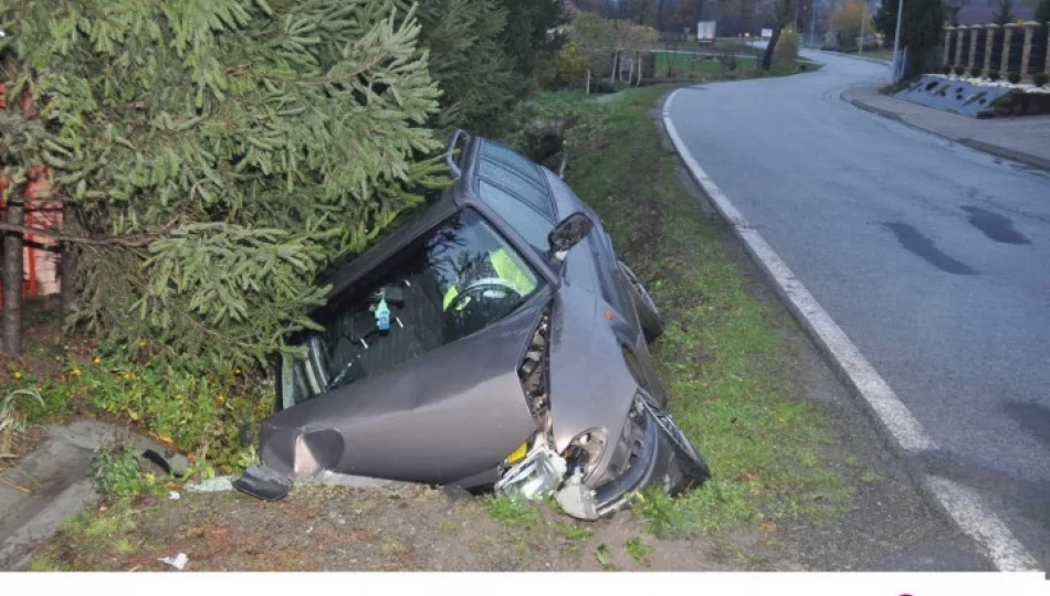 Opel uderzył w przepust, kierowca pijany - zdjęcie 1