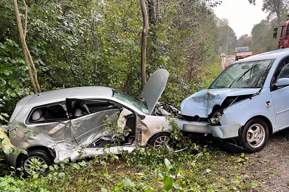 Mandat za groźnie wyglądającą kolizję - zdjęcie 4