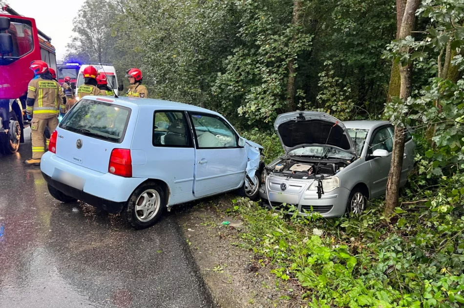 Mandat za groźnie wyglądającą kolizję - zdjęcie 3
