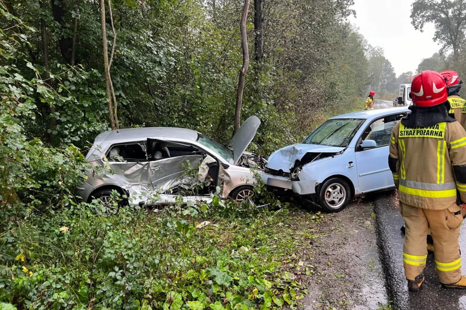 Mandat za groźnie wyglądającą kolizję - zdjęcie 2