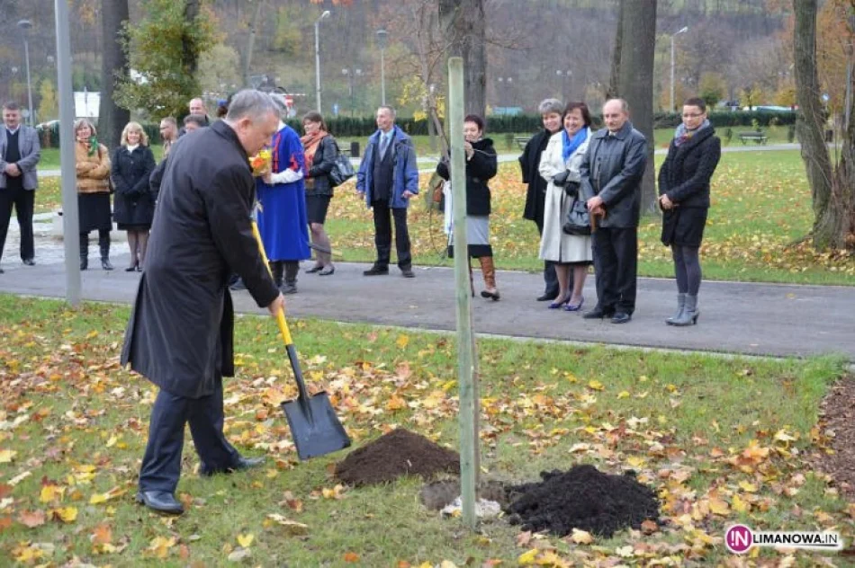 Rewitalizacja, księżna i hrabina - zdjęcie 4