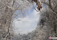 Dziś może spaść do 10 cm śniegu - zdjęcie główne