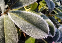 Uwaga na oblodzenia - zdjęcie główne