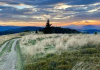 Prognoza na kolejne 7 dni - gorsza pogoda w weekend - zdjęcie główne